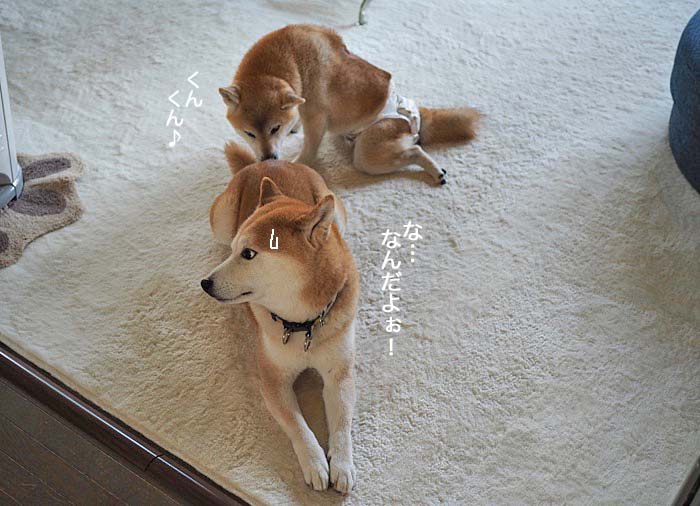 28日ブログ４