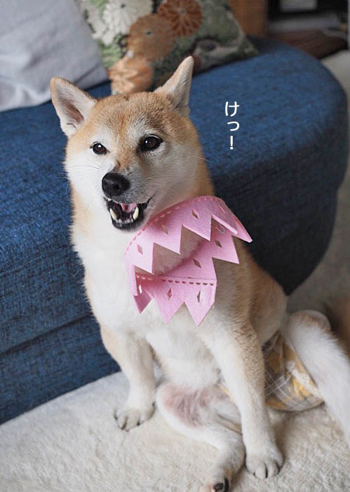 27日ブログ１１