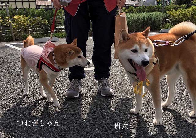 29日ブログ3