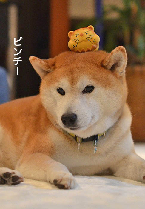 29日ブログ４