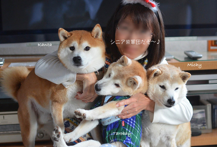 12日ブログ2