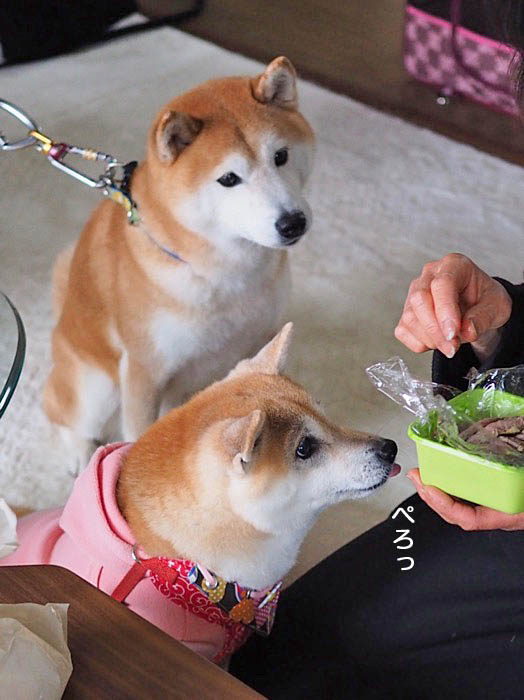 23日午後ブログ5