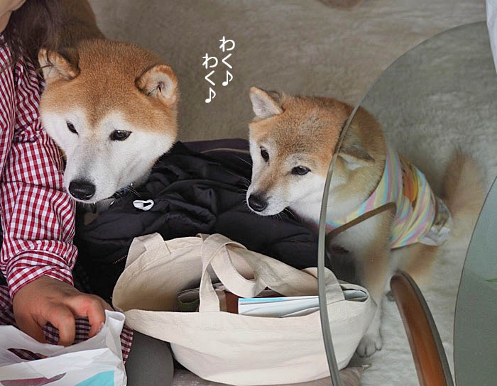 17日夜ブログ２