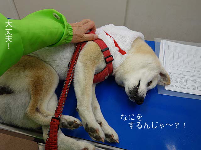 18日ブログ3