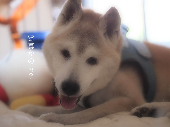 9日ブログ5