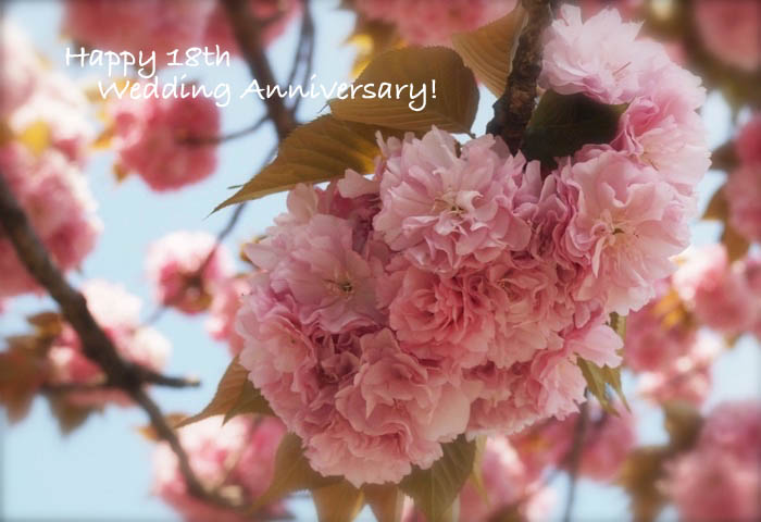 27日ブログ２