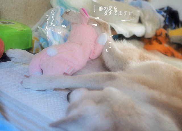 8日ブログ3