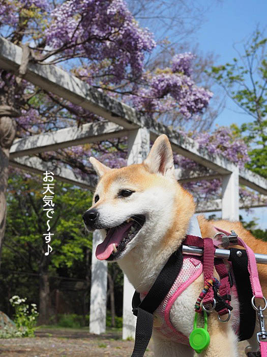 23日ブログ２