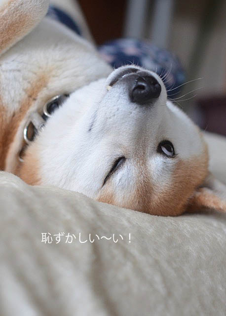 10日ブログ11