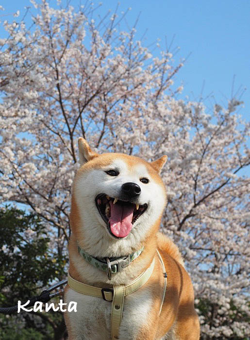 3日ブログ３