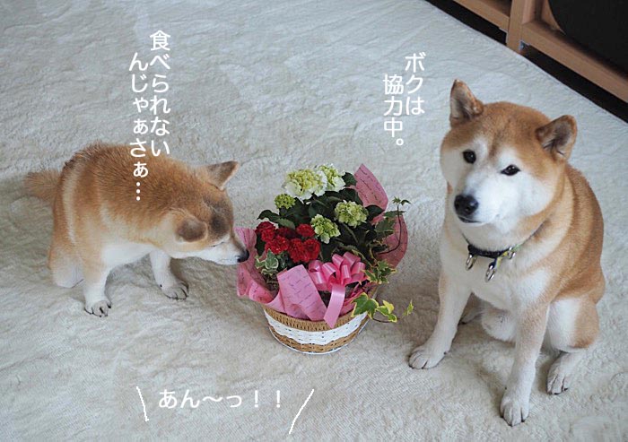 12日ブログ７