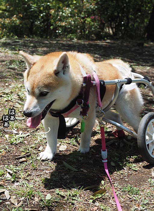 22日ブログ５