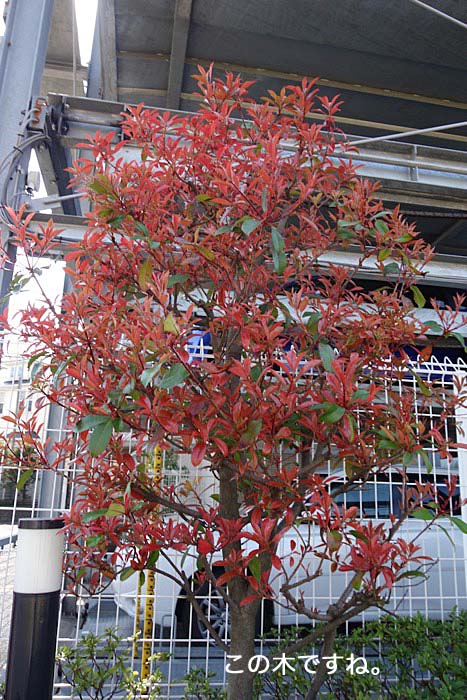 12日午後ブログ７