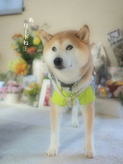 6日ブログ5