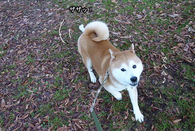 5日ブログ8