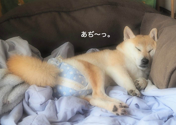 10日夜ブログ２