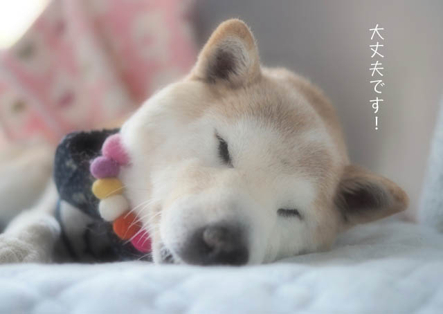 17日ブログ13