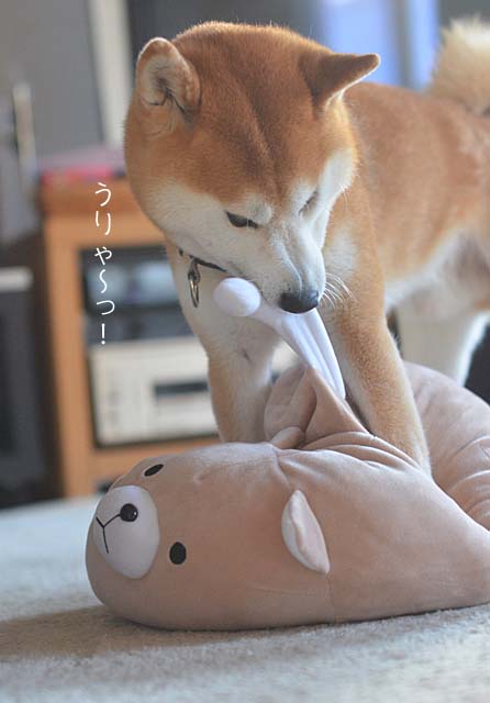 10日のブログ5