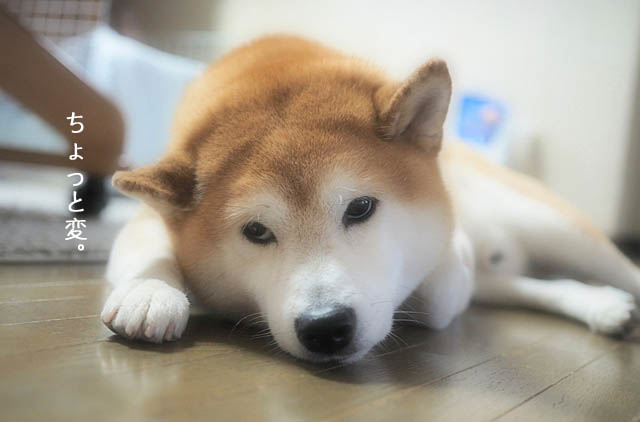4日ブログ4