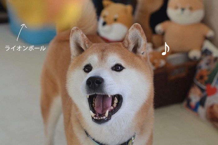 12日ブログ4