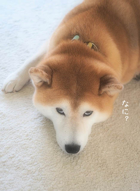 8日ブログ5