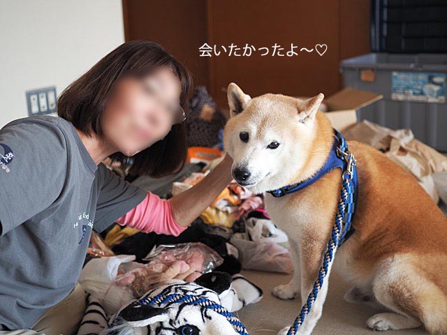 17日ブログ7