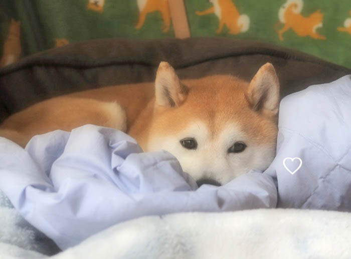 23日ブログ４