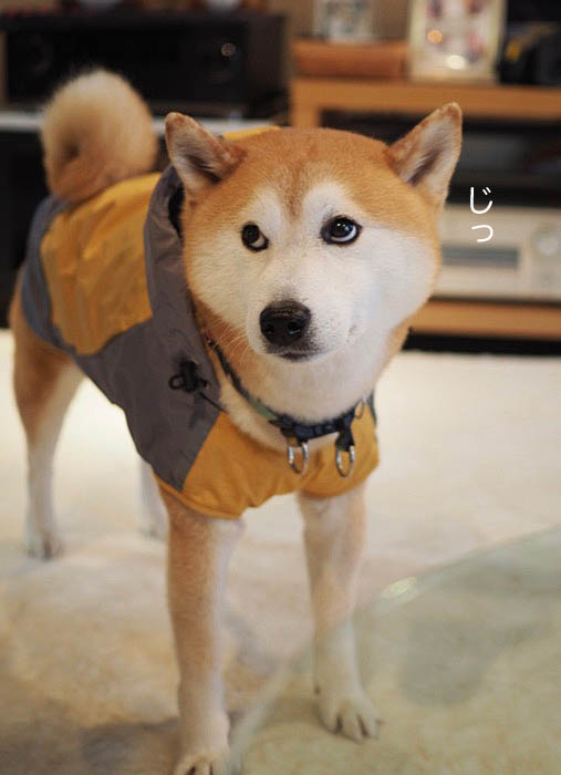 26日ブログ４