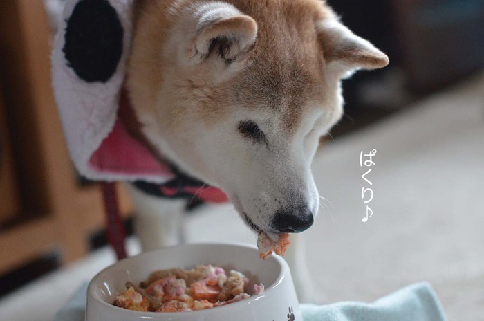 5日ブログ5