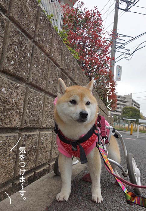 12日午後ブログ８