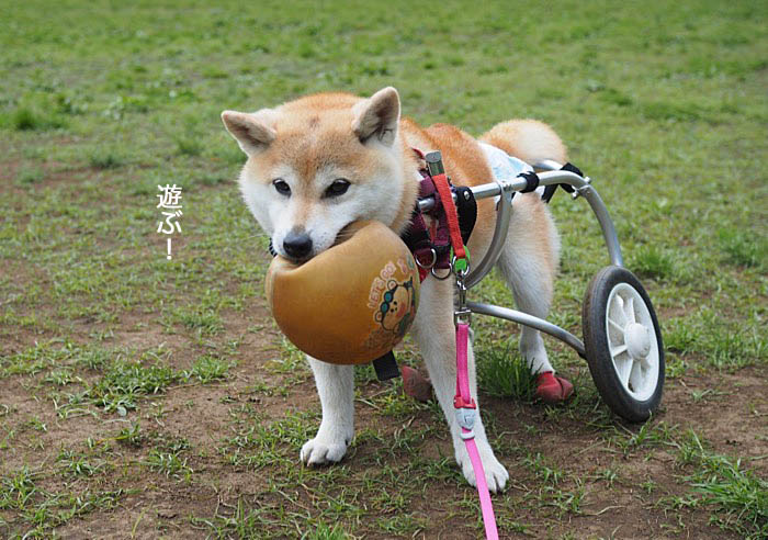 9日ブログ４
