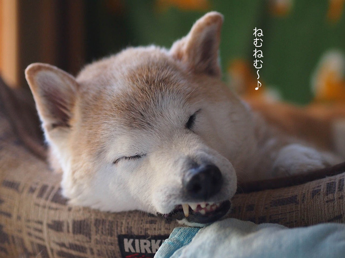 17日ブログ6