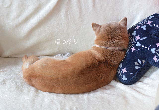 17日ブログ6
