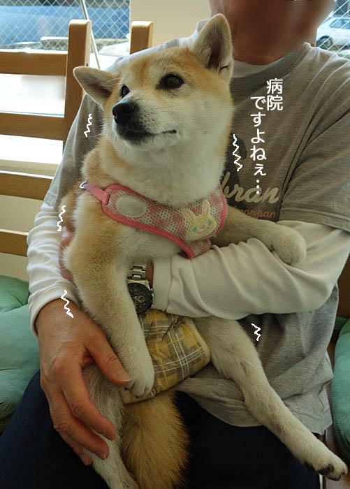 18日ブログ３
