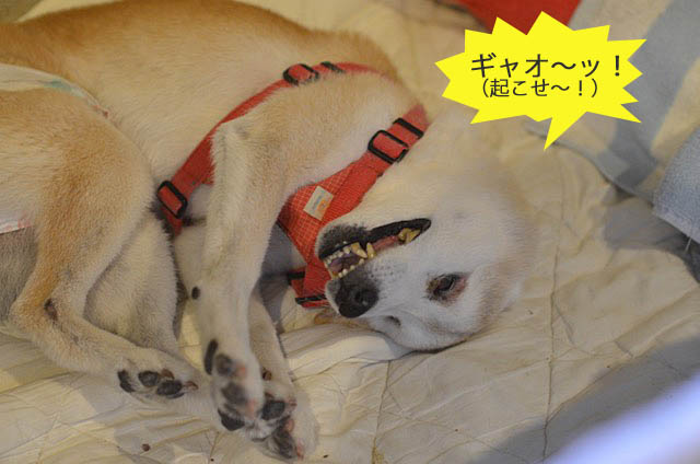 27日ブログ9