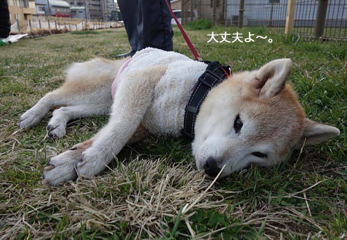 1日午後ブログ６