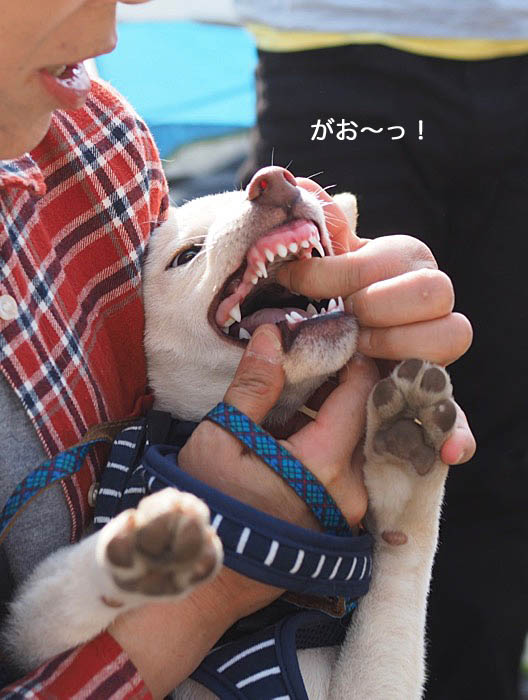8日ブログ１３