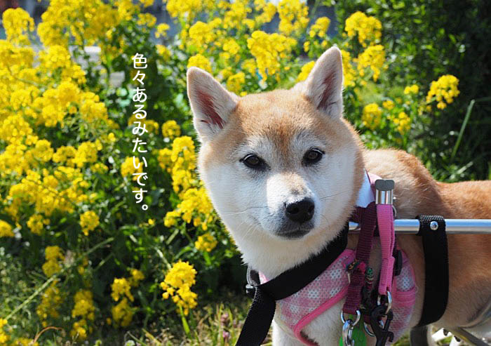 10日ブログ４
