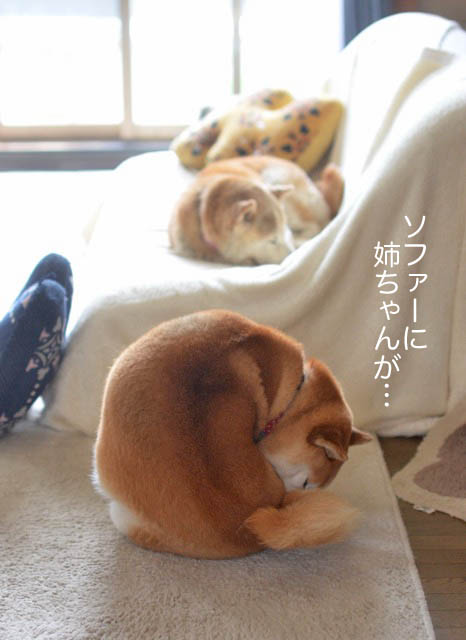 11日昼ブログ4