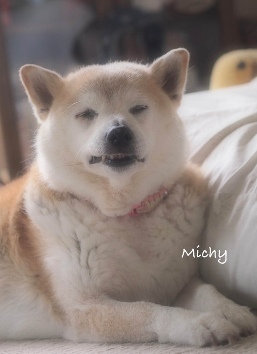 1日ブログ6