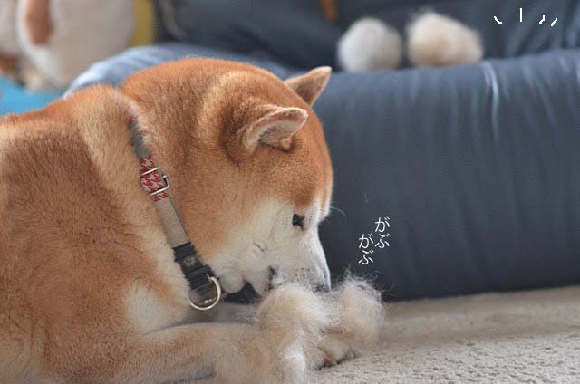 14日ブログ4