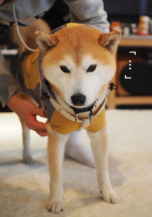 26日ブログ８