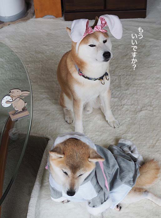 21日ブログ４