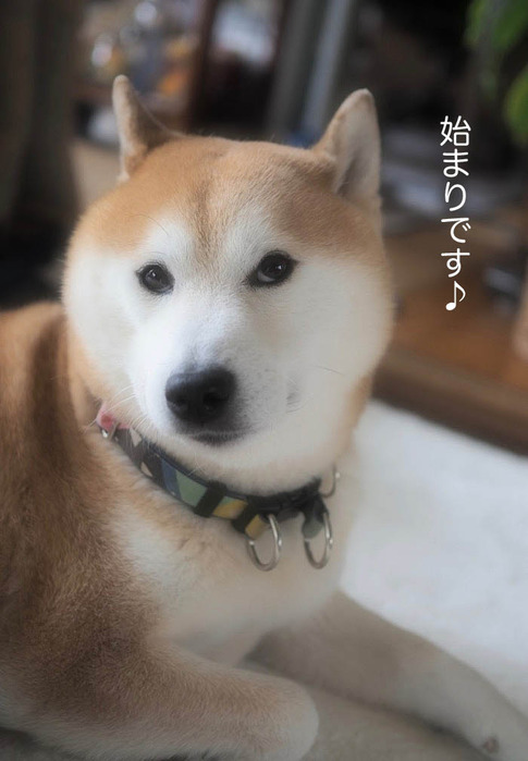 1日ブログ３