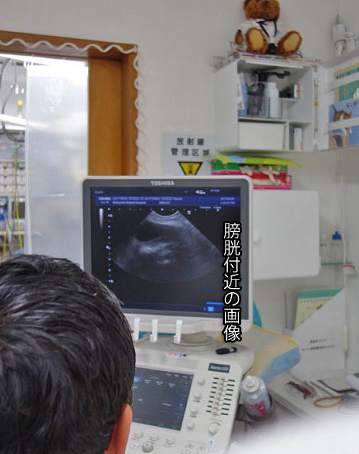 9日ブログ4