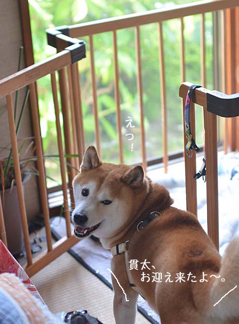 10日ブログ3