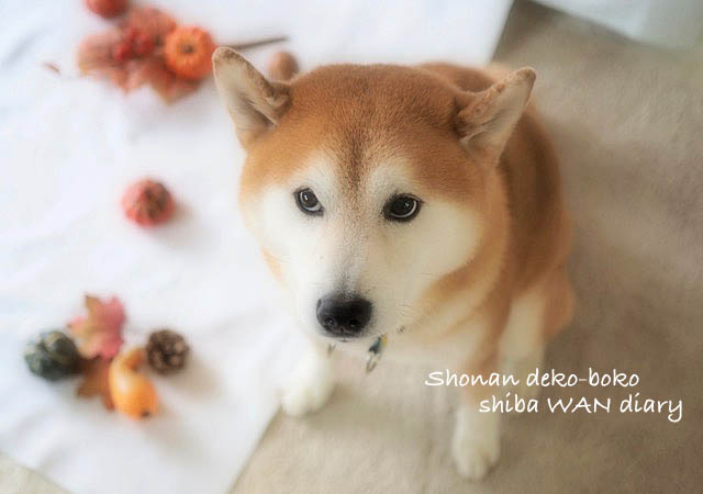 28日ブログ12