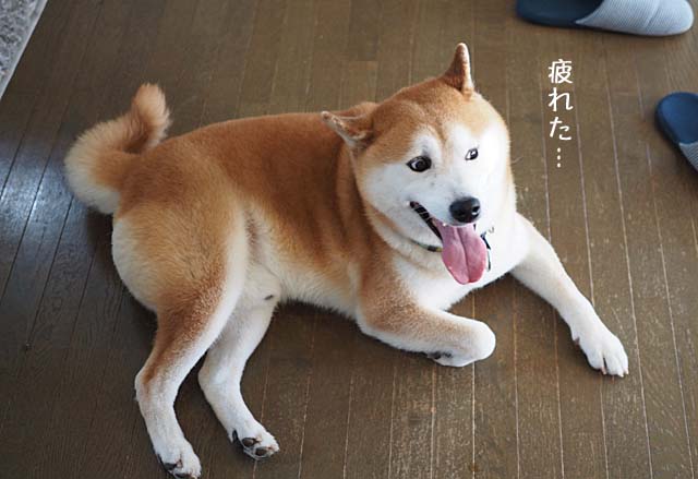 4日ブログ8