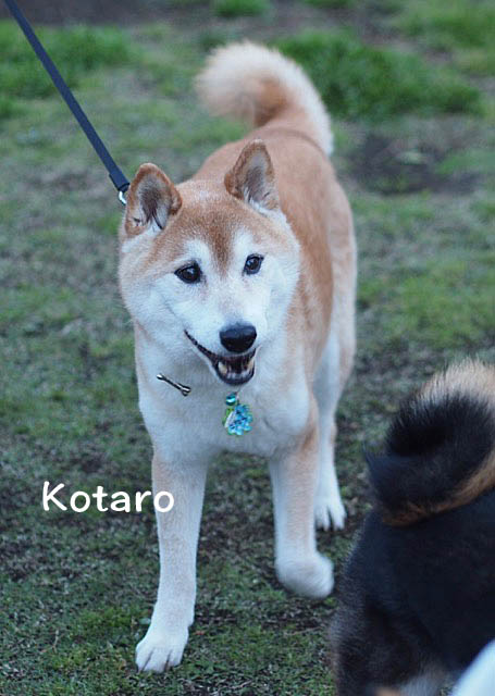 2日ブログ2