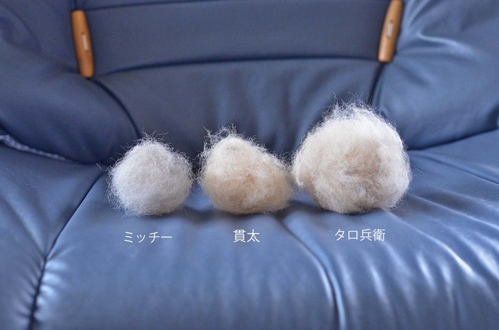 14日ブログ2